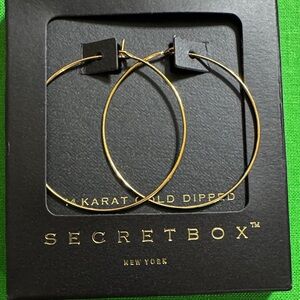 14k Gold Dipped Hoop Earrings